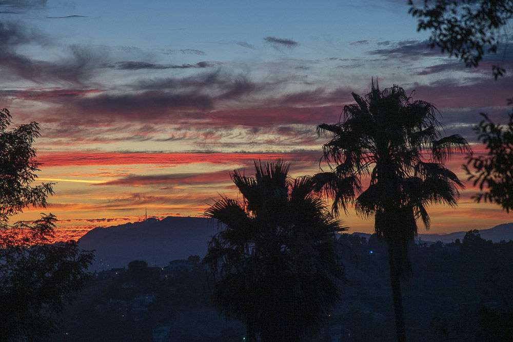 Twilight View